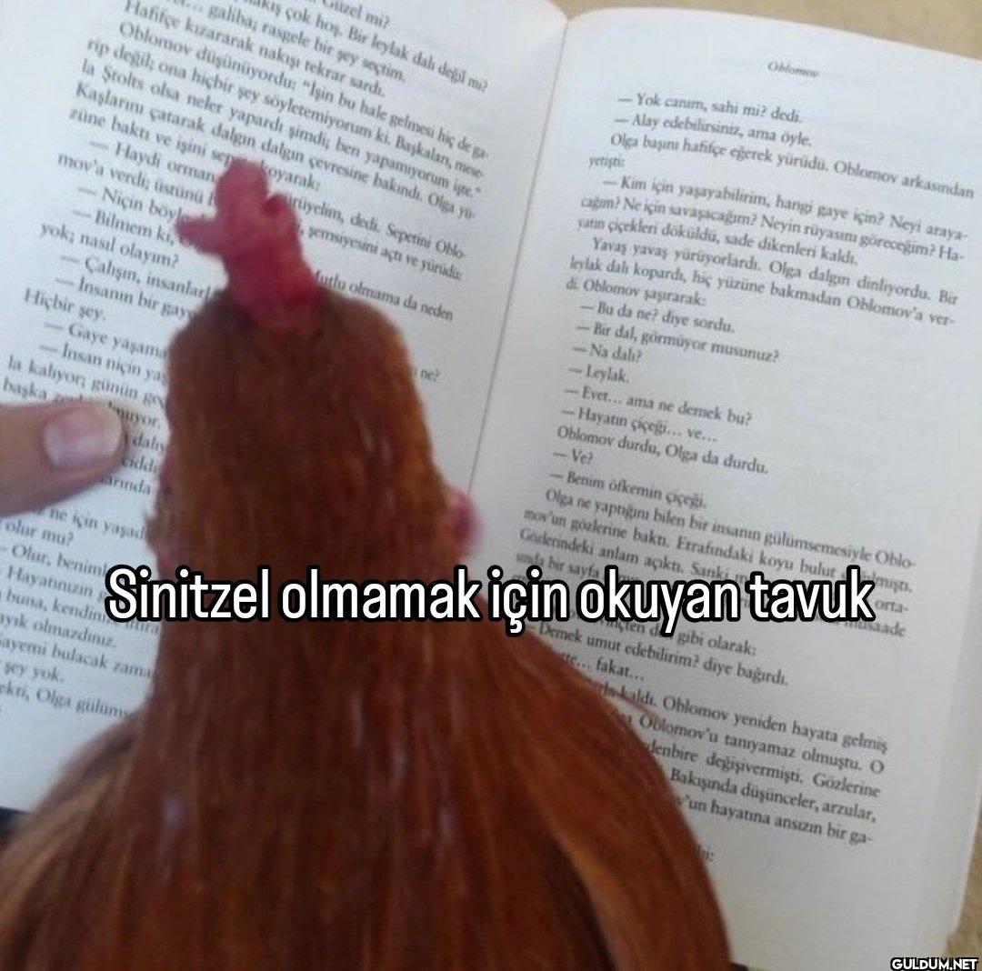Hafifçe kızararak nakışı...