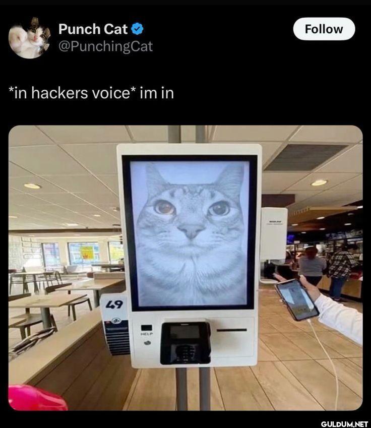 in hackers voice im in