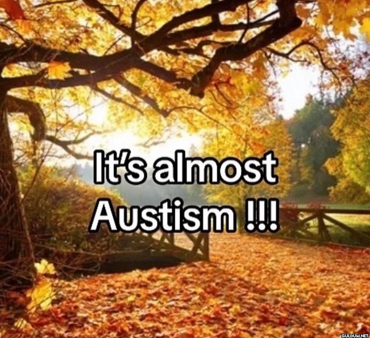 It's almost Austism !!!