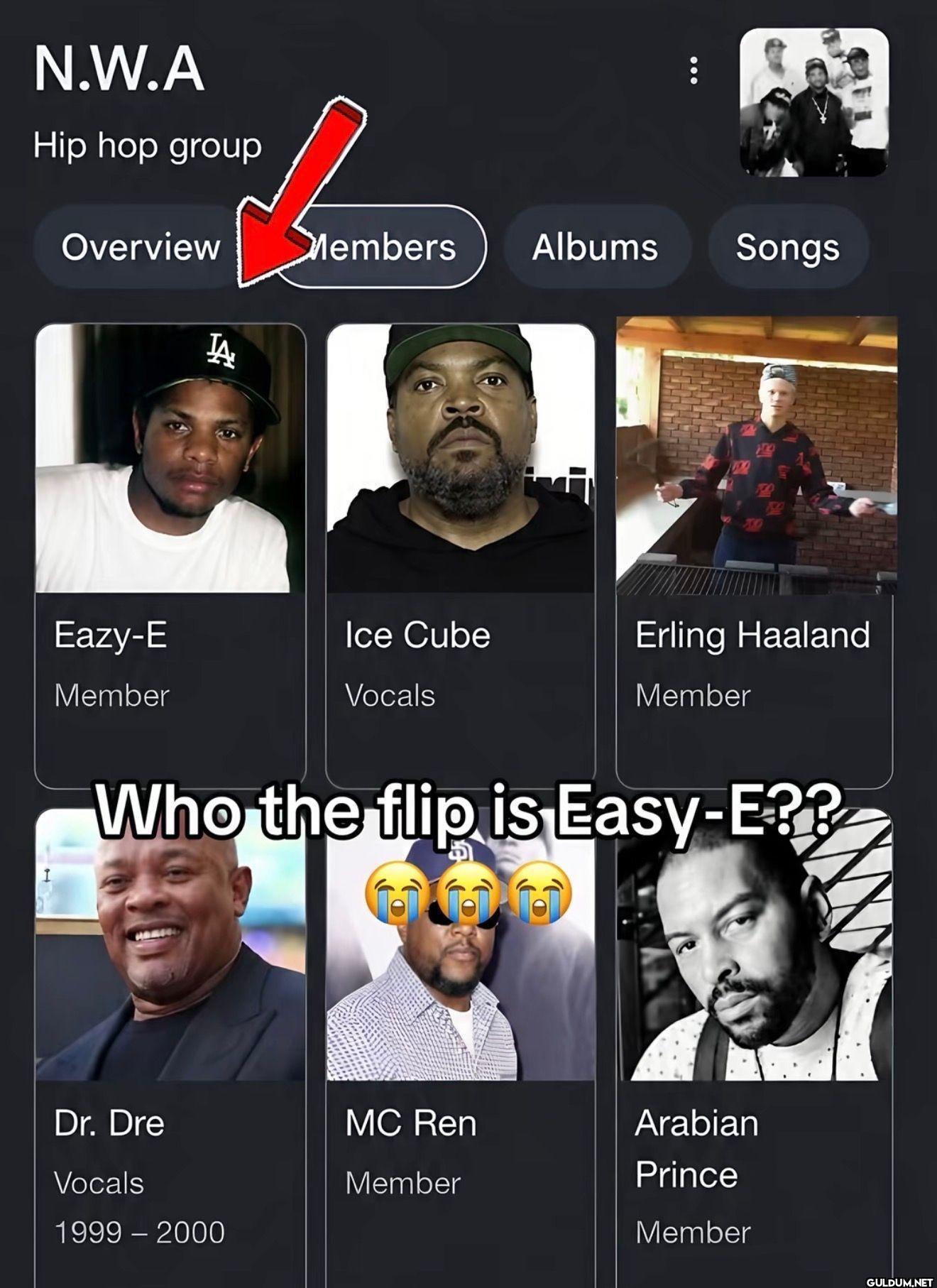 N.W.A Hip hop group...