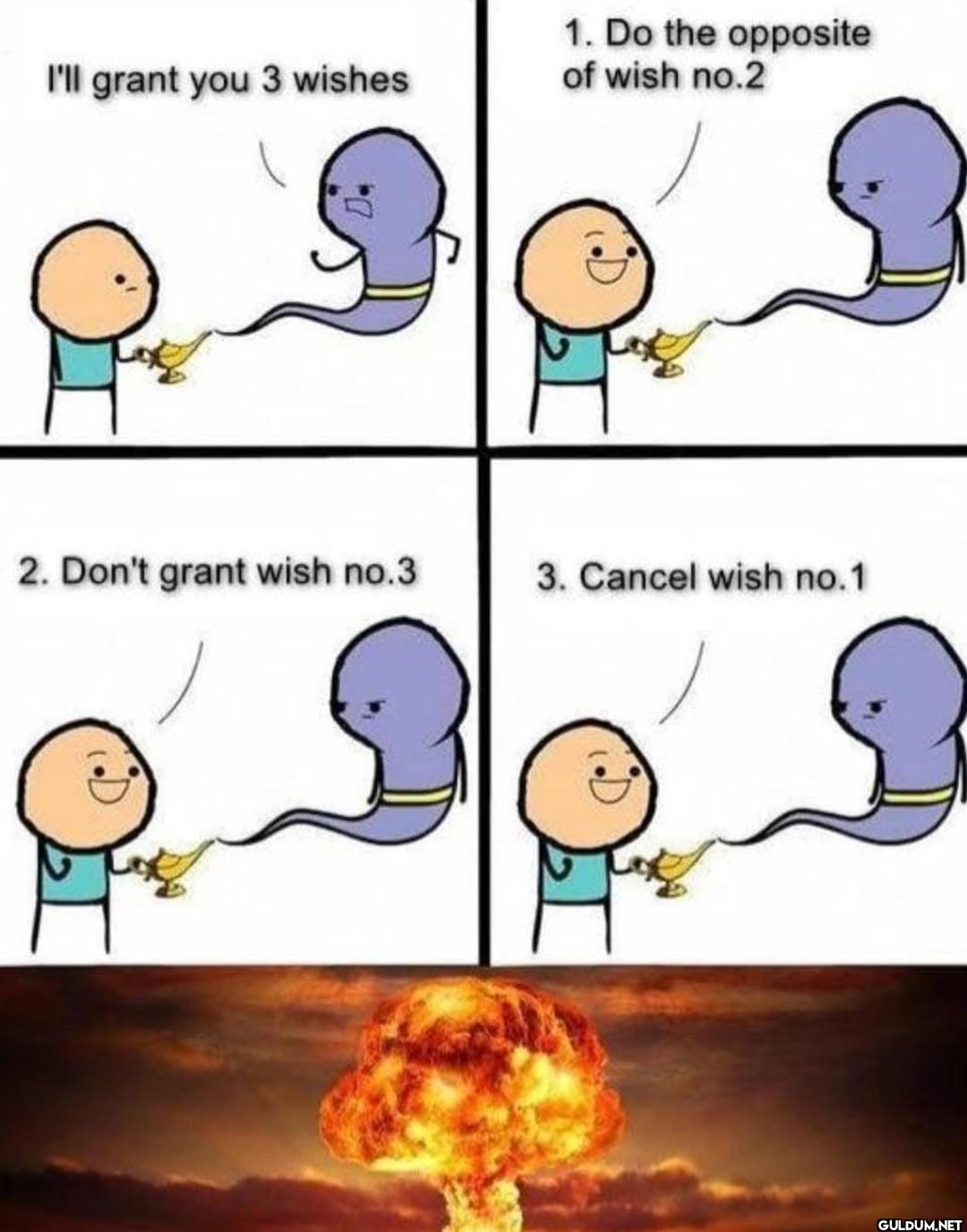 I'll grant you 3 wishes 1....