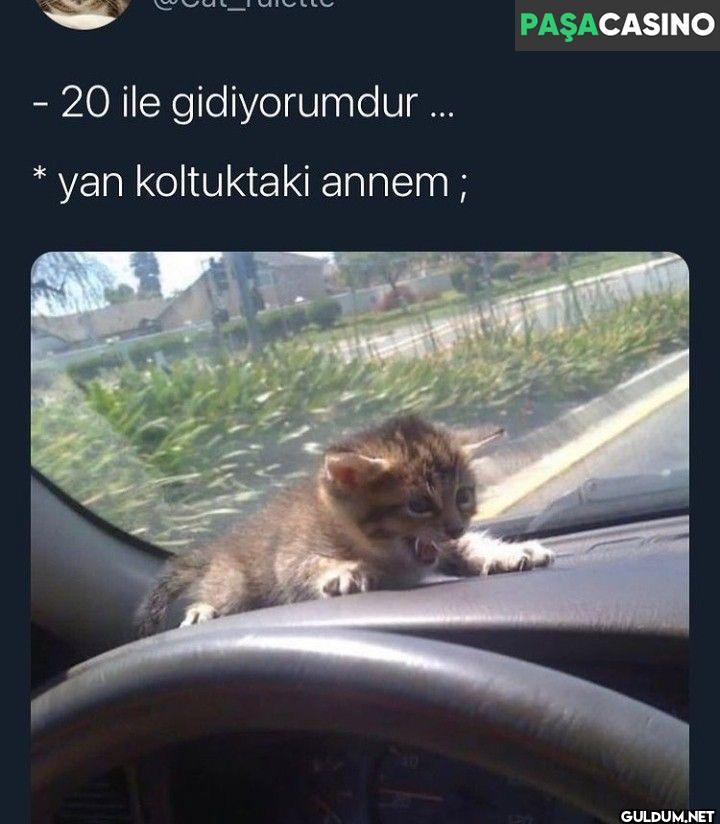 - 20 ile gidiyorumdur......
