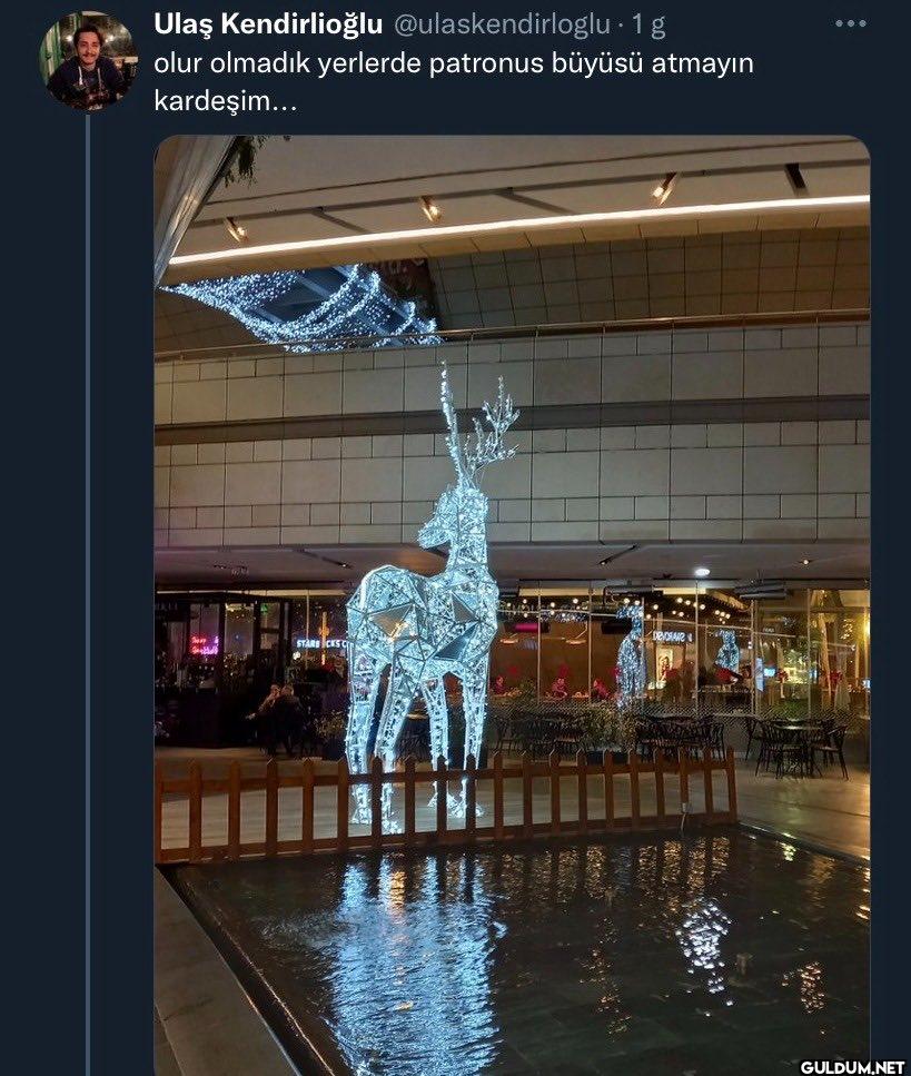 - 1 g olur olmadık...