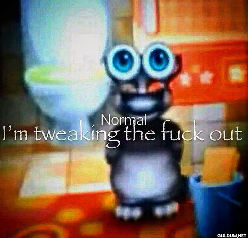 Normal I'm tweaking the fuck out