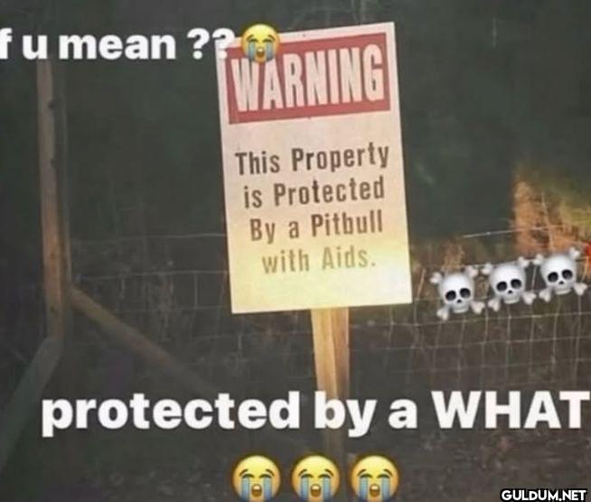 f u mean ?? WARNING This...