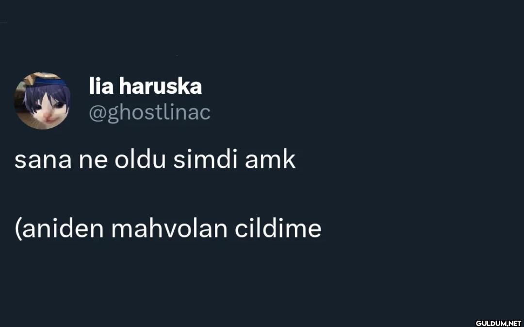 sana ne oldu simdi amk...