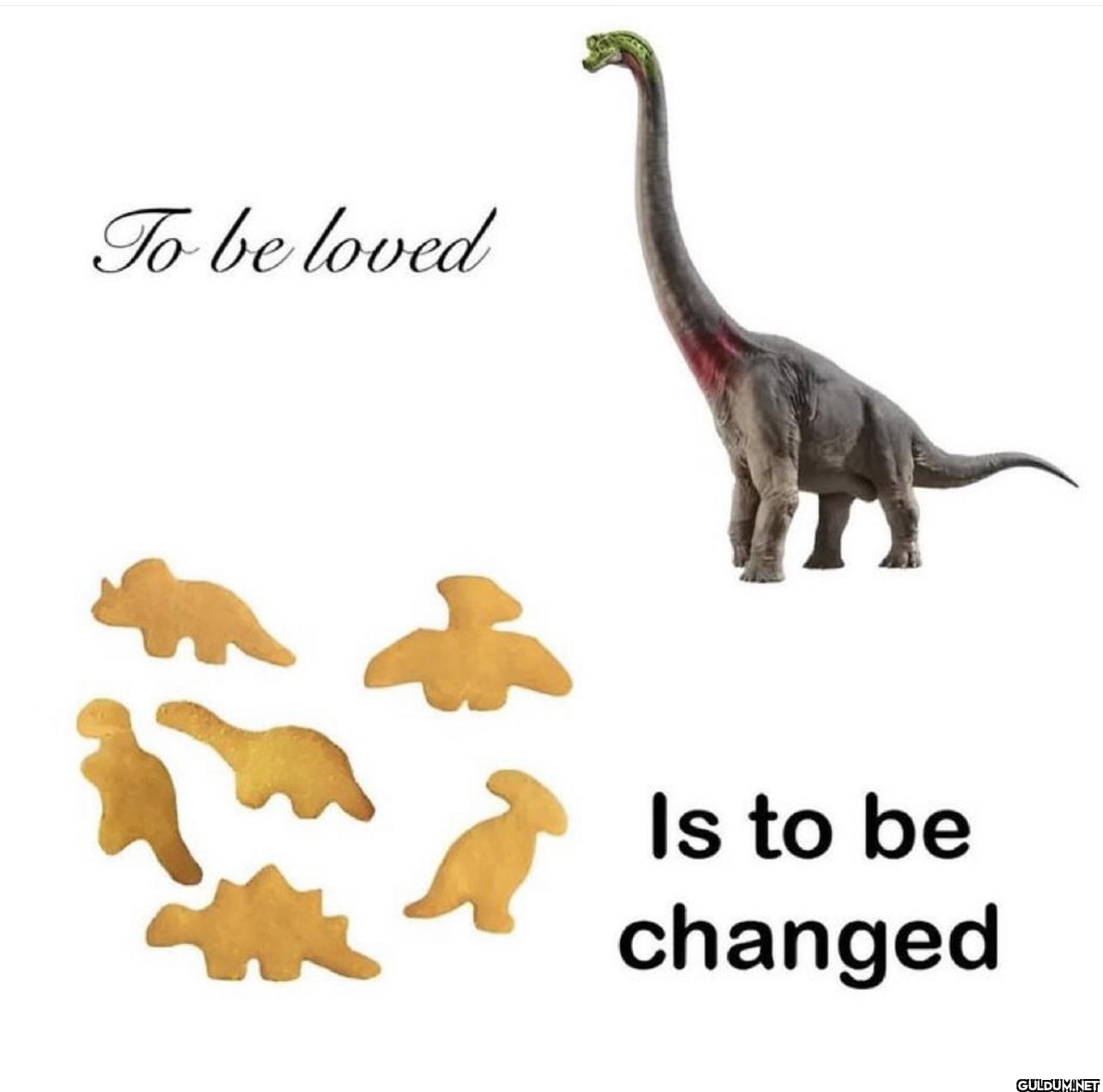 ︎ ︎ ︎ ︎ ︎    To be loved...