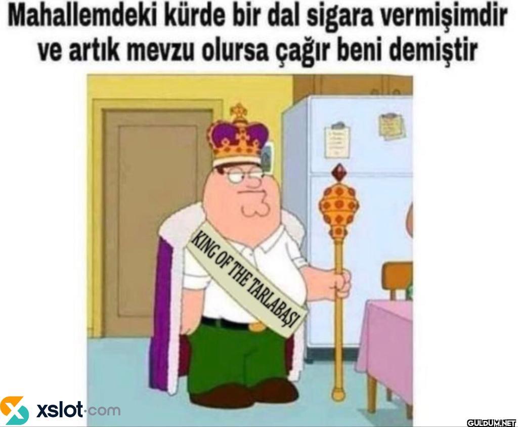 Mahallemdeki kürde bir dal...