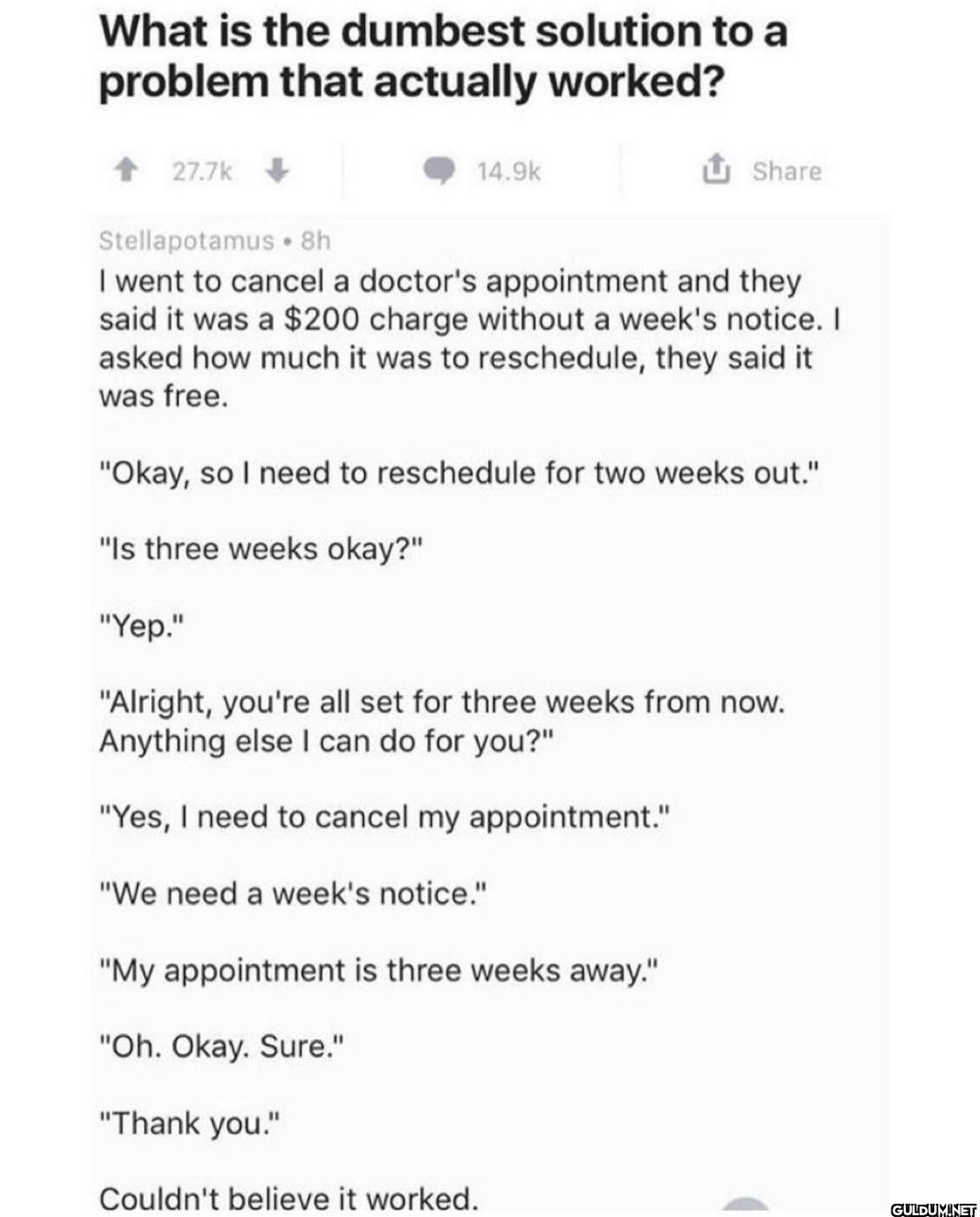 What is the dumbest...