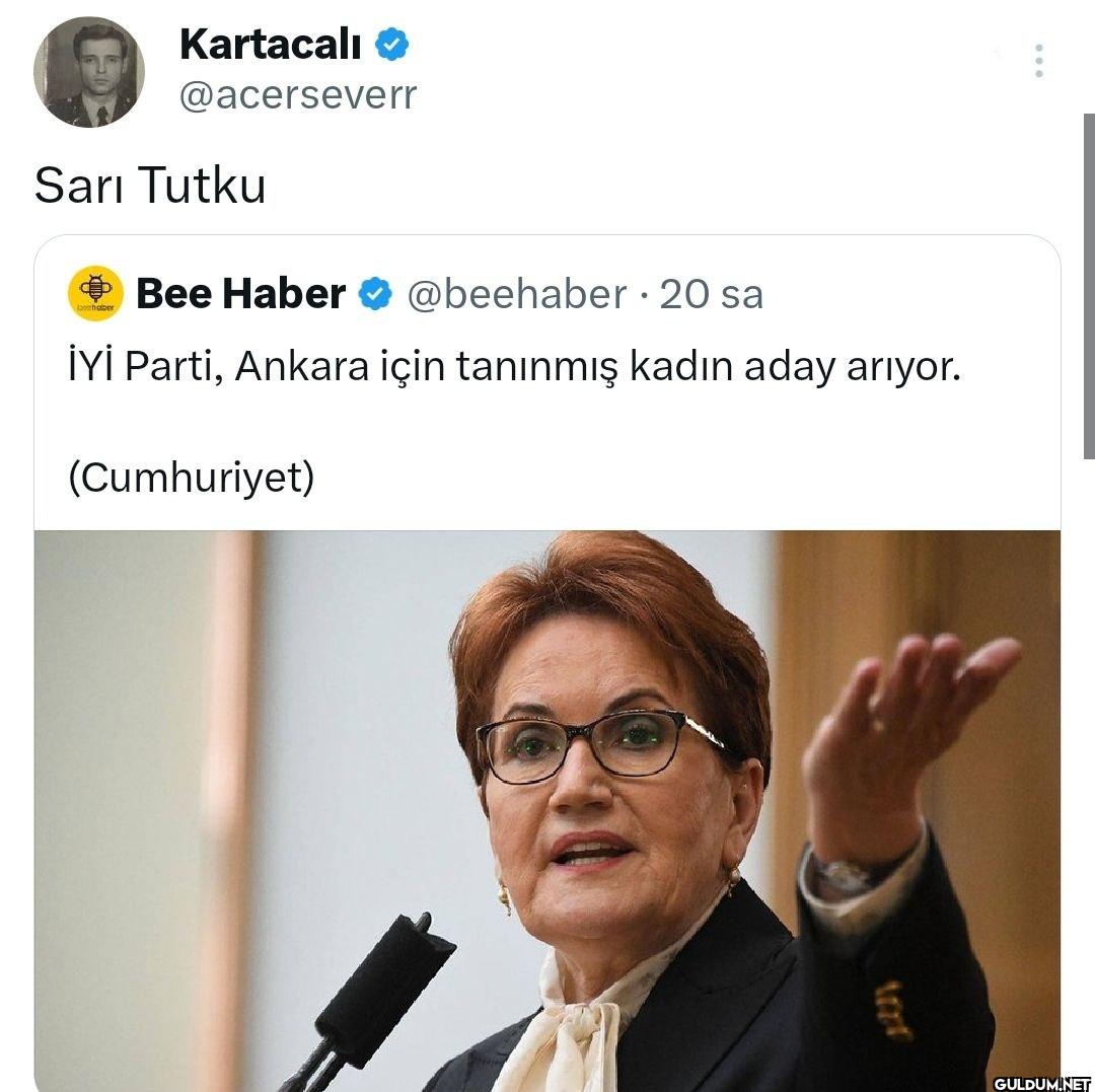 Sarı Tutku + Bee Haber...