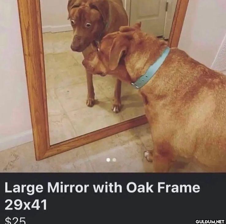 Large Mirror with Oak...