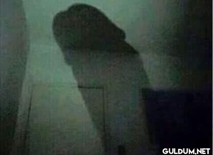 Gölgesi yeter