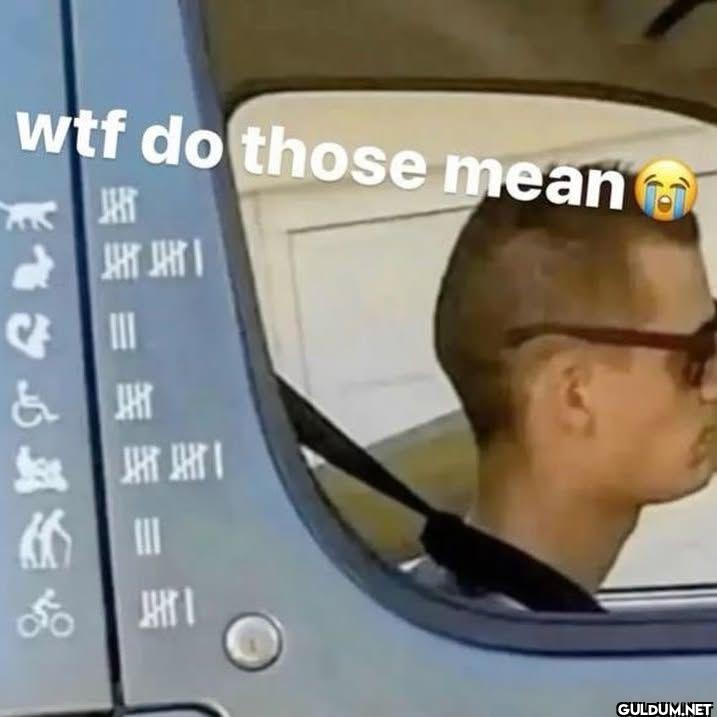 wtf do those mean