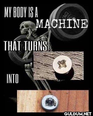 MY BODY IS A OKG MACHINE...