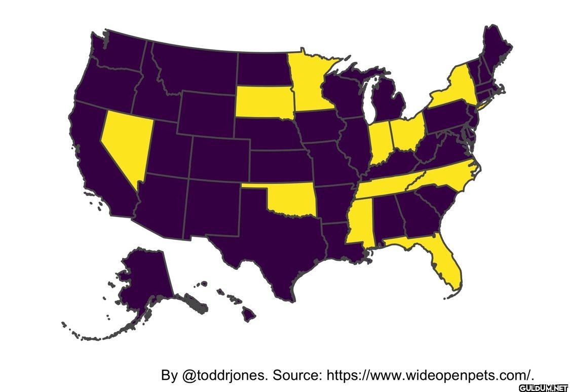 Tired of the election map?...