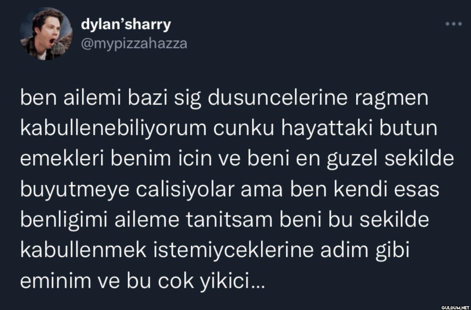 ben ailemi bazi sig...