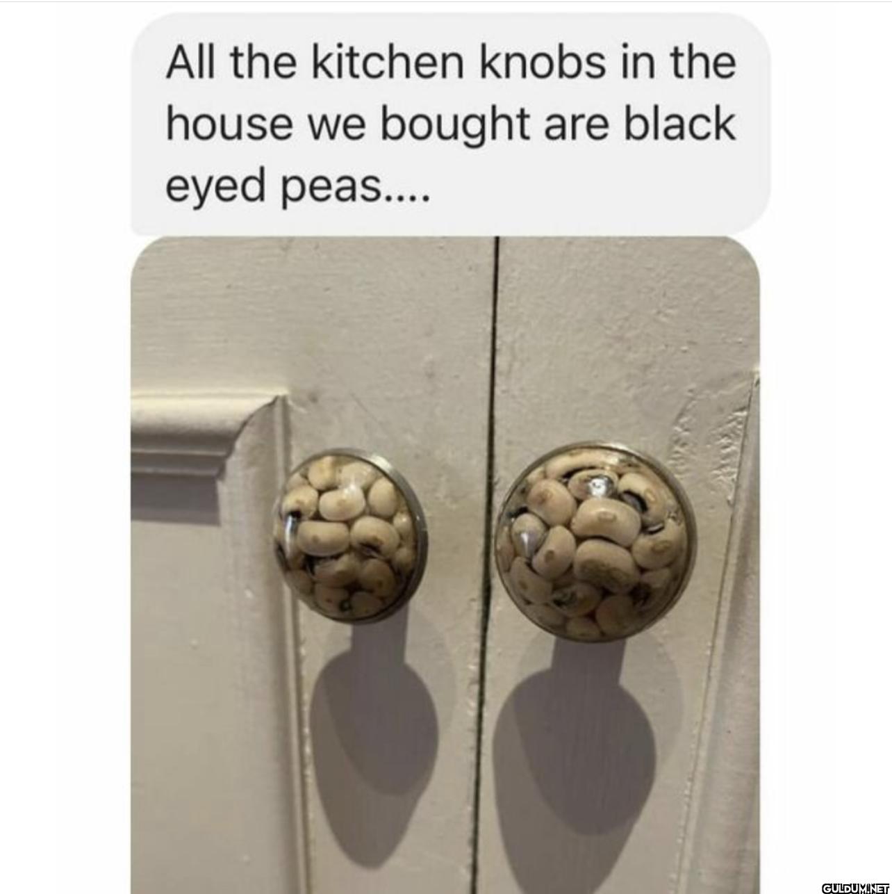 ︎ ︎ ︎ ︎    All the kitchen...