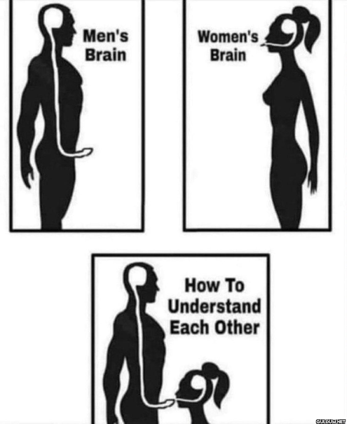 Men's Brain Women's Brain...