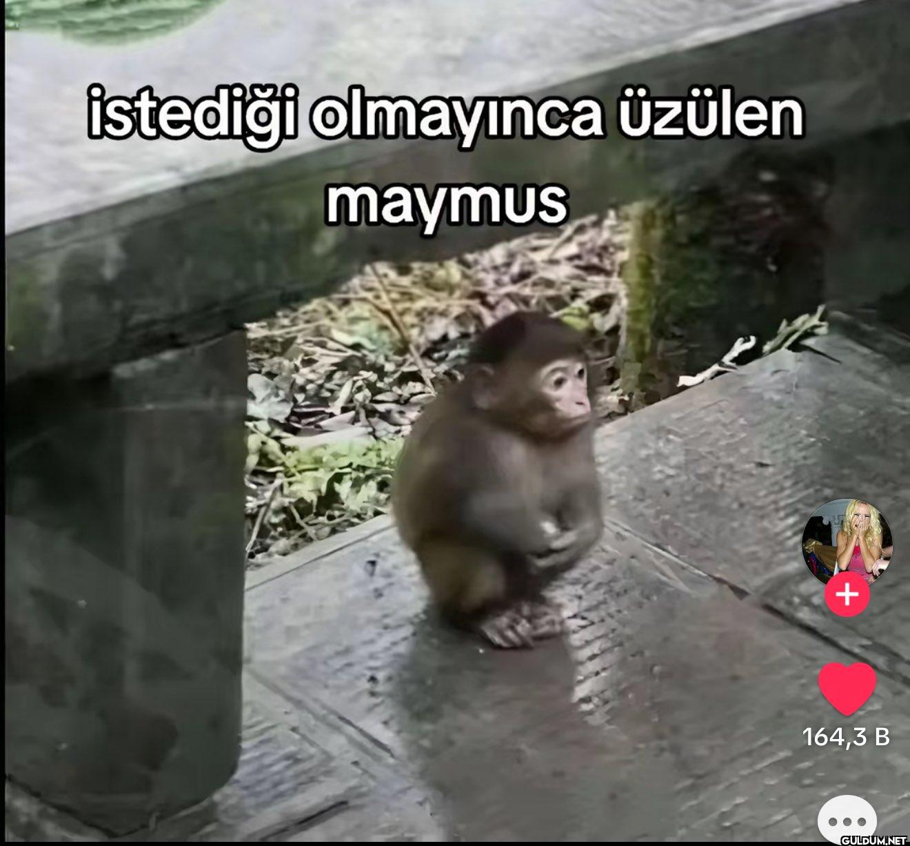 İstediği olmayınca üzülen...