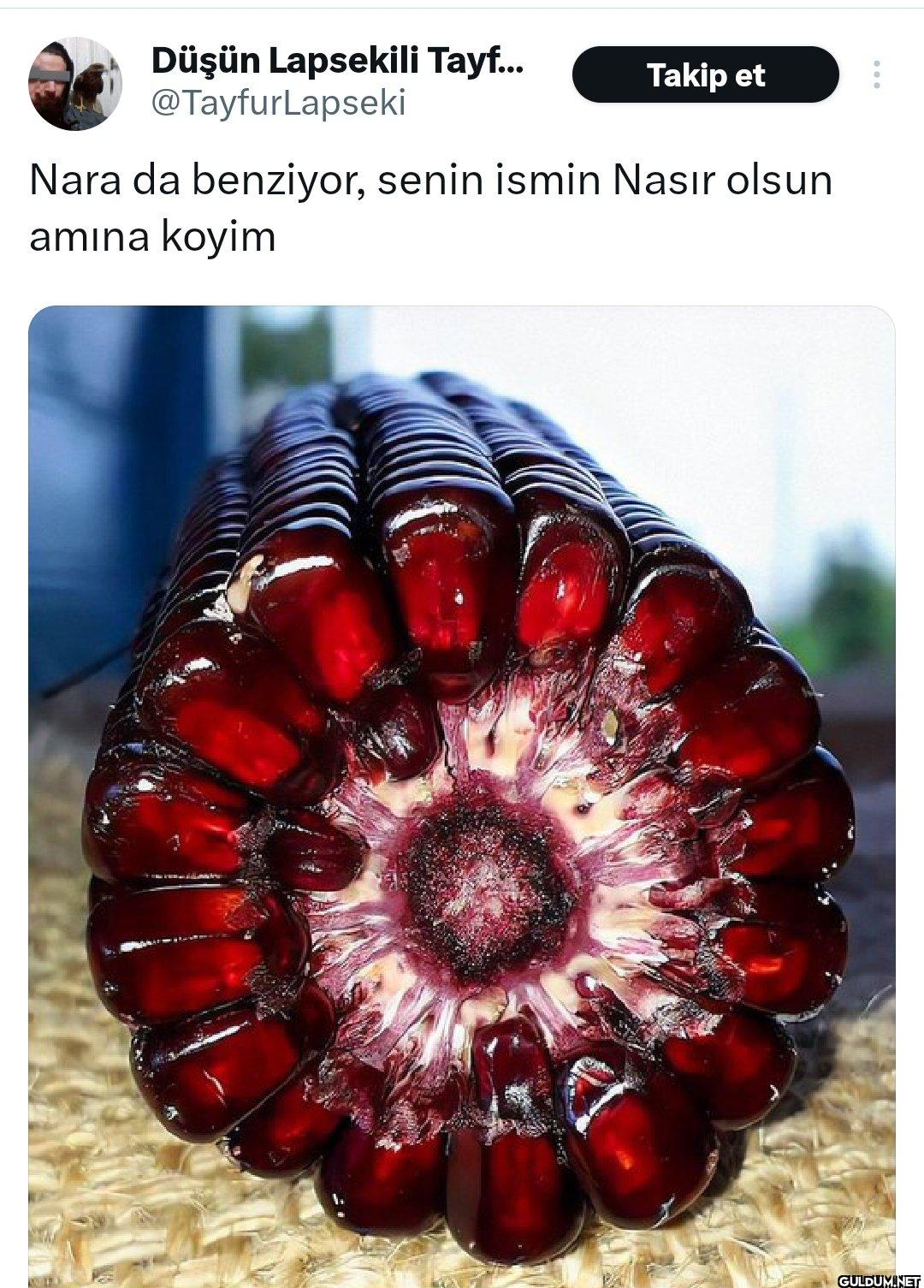 Takip et Nara da benziyor,...