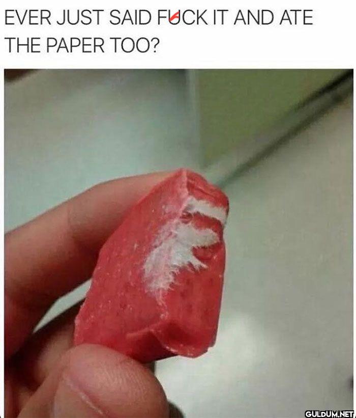 EVER JUST SAID FUCK IT AND...