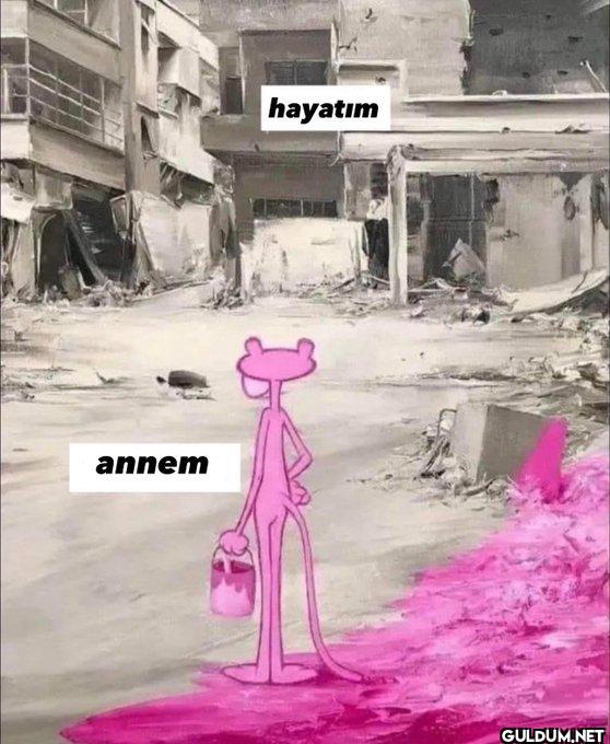 annem hayatım