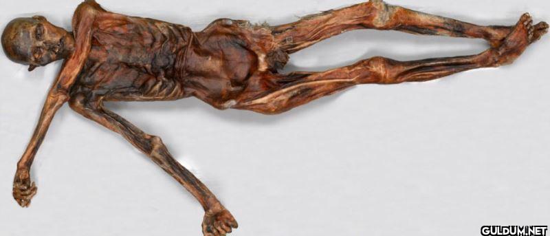 Ayrıca Ötzi’nin arka...