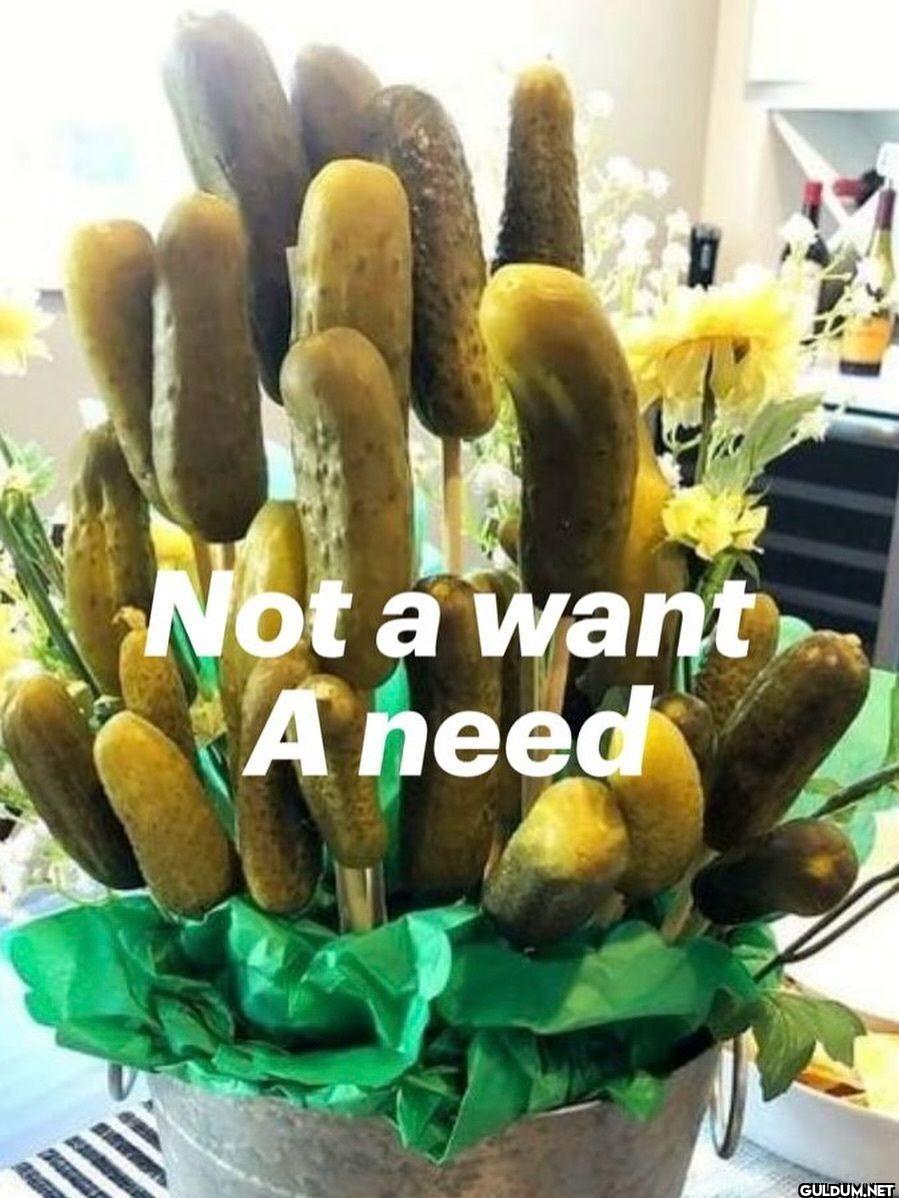 Not a want A need