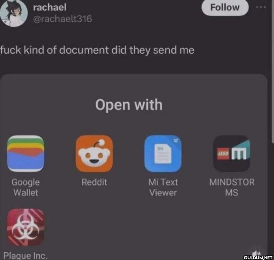 fuck kind of document did...