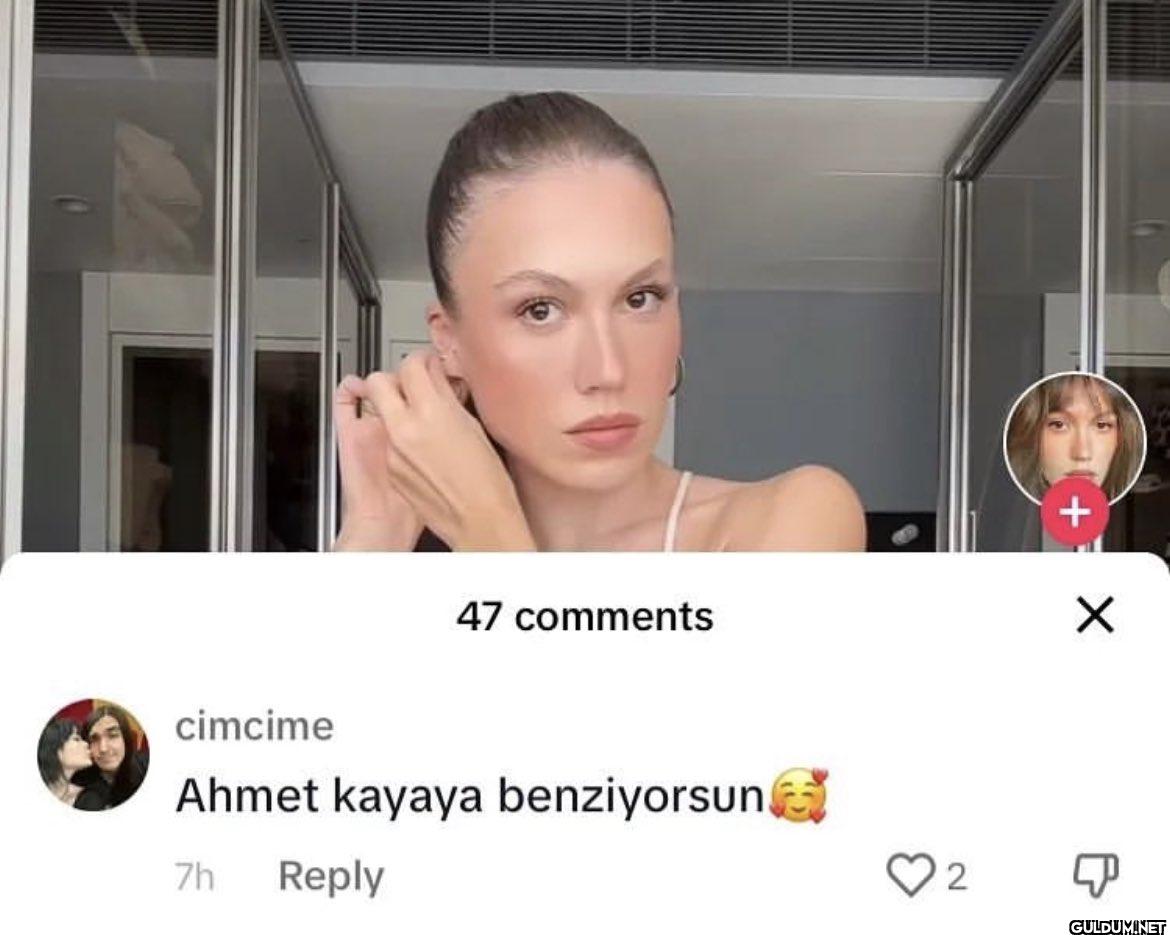 47 comments ✓ cimcime...