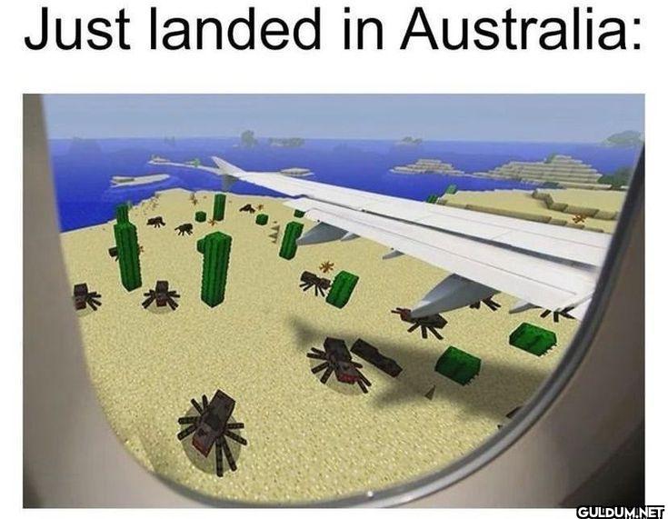 Just landed in Australia