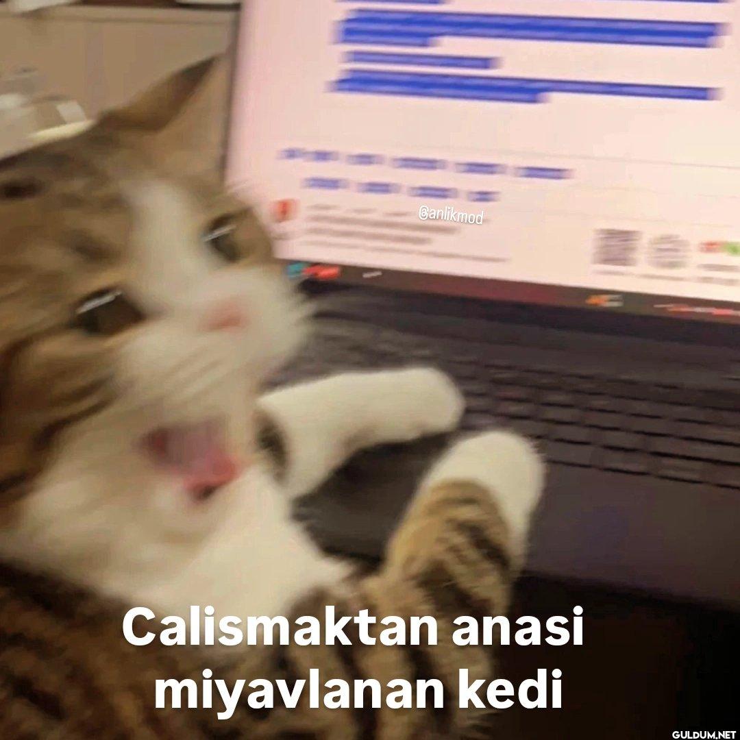 Canlikmod Calismaktan...