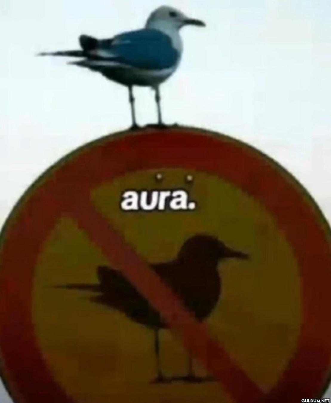 aura.