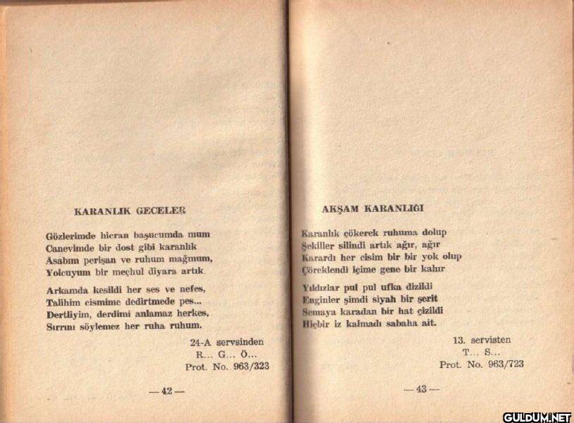 Bakırköy Ruh ve Sinir...