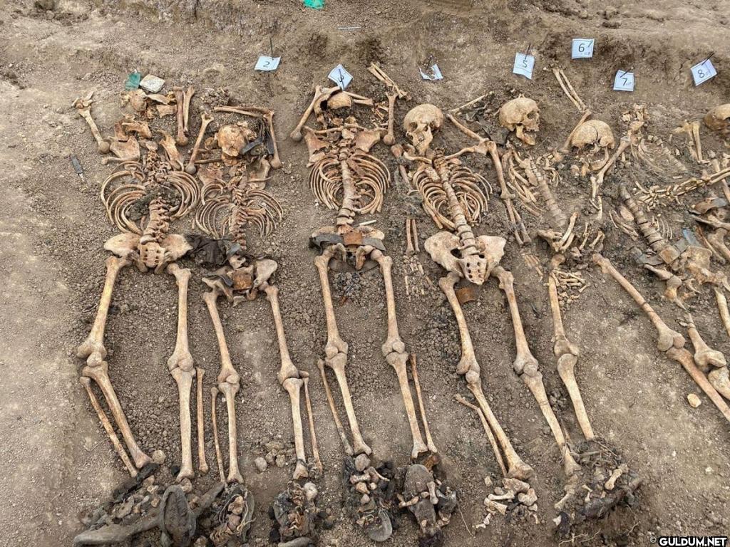 Azerbaycan'ın kurtardığı...