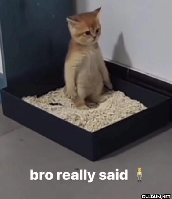 bro really said