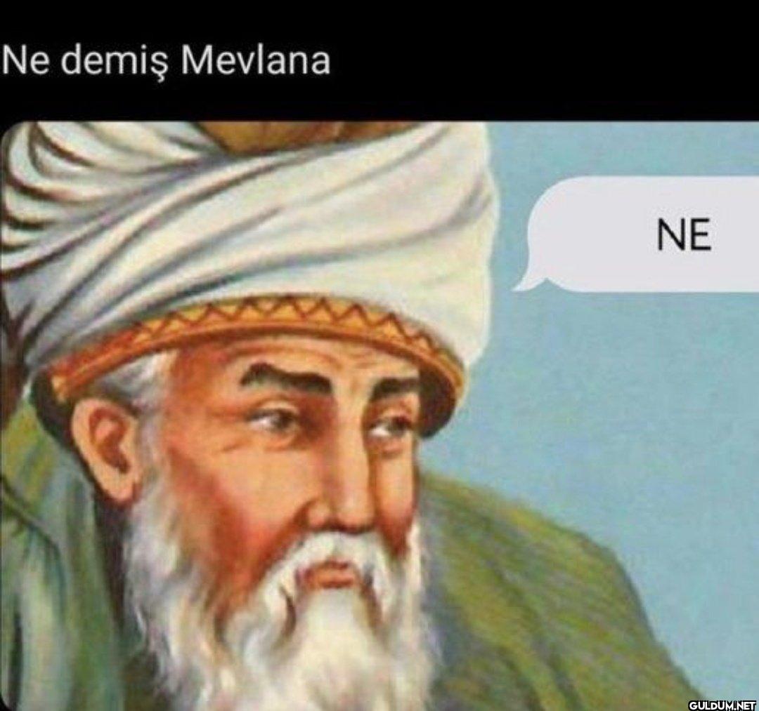 Ne demiş Mevlana NE