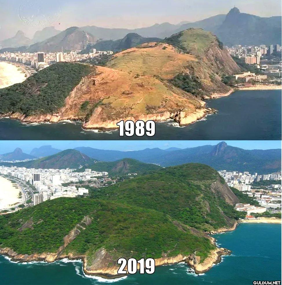 7. Rio de Janeiro's...