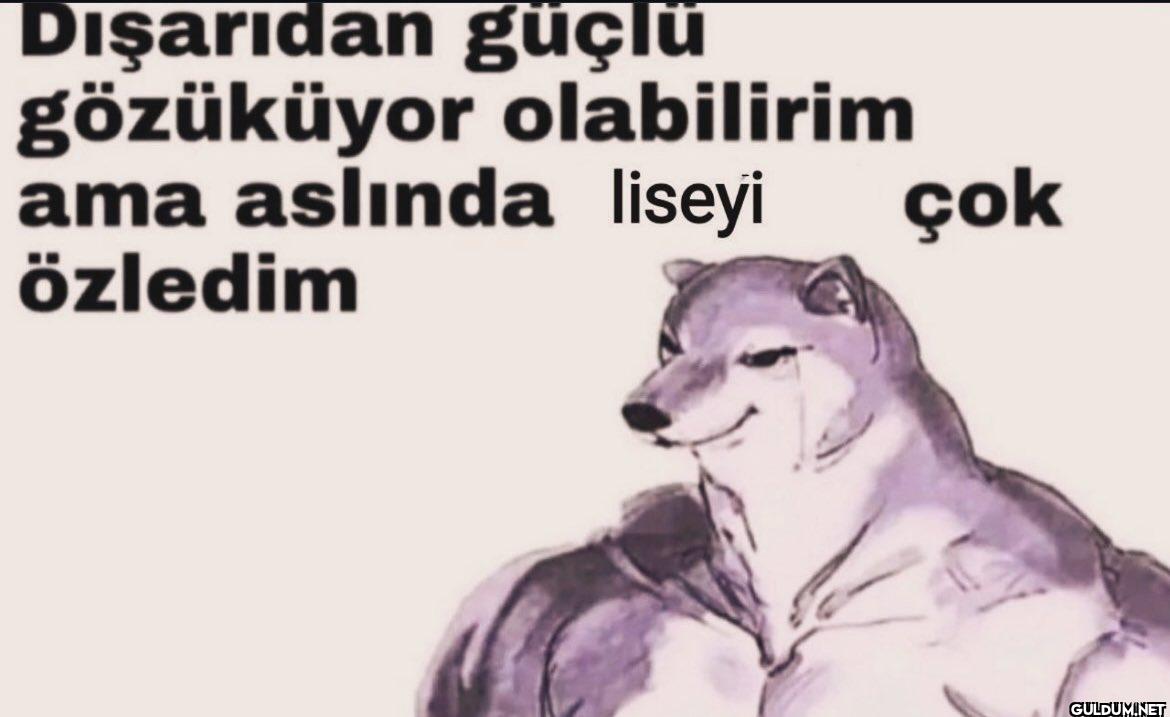 Dışarıdan güçlü gözüküyor...