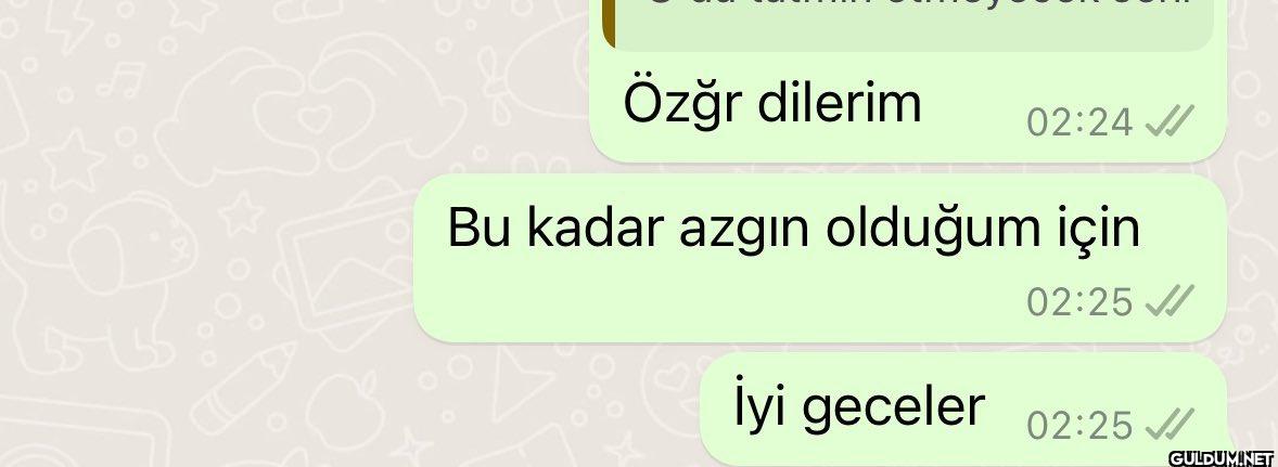 Özğr dilerim 02:24 ✓ Bu...