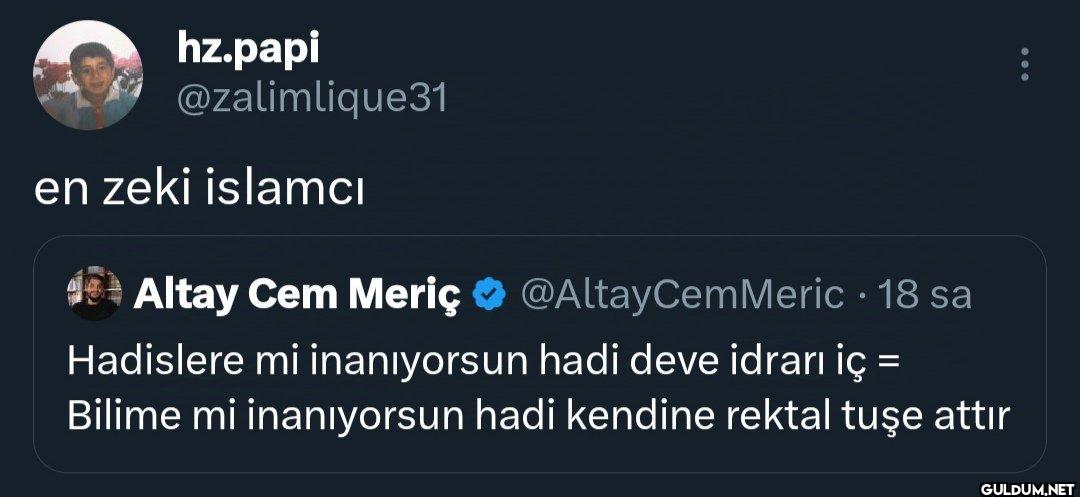 en zeki islamcı Altay Cem...