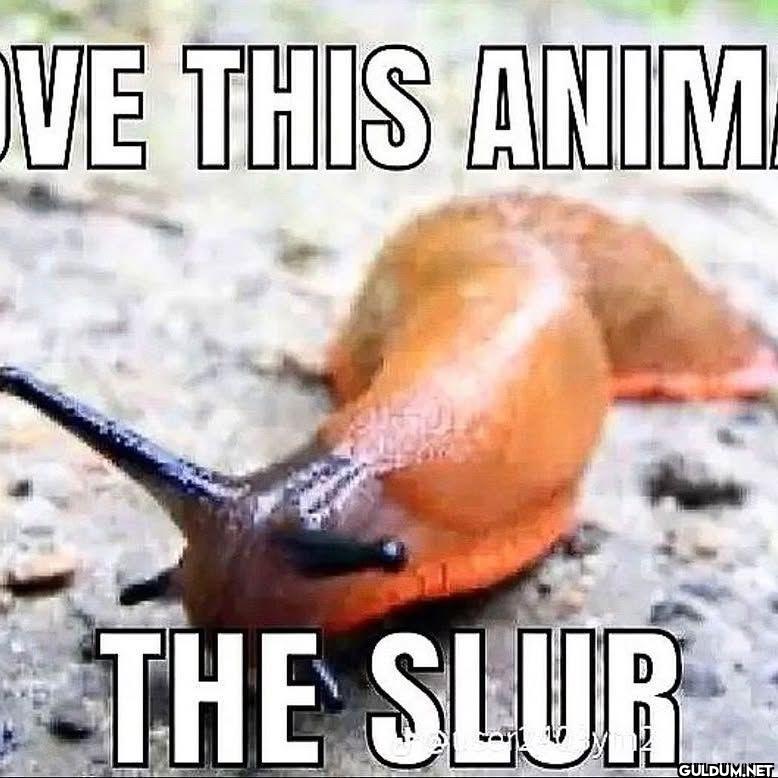 VE THIS ANIM THE SLUR