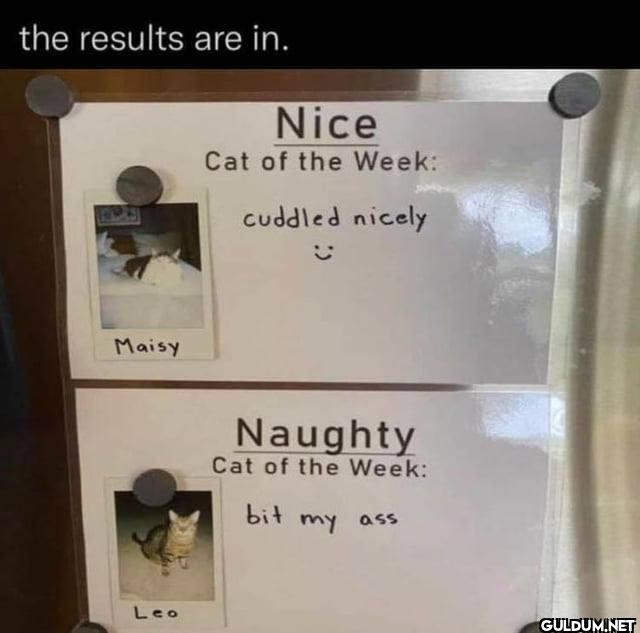 the results are in. Nice...