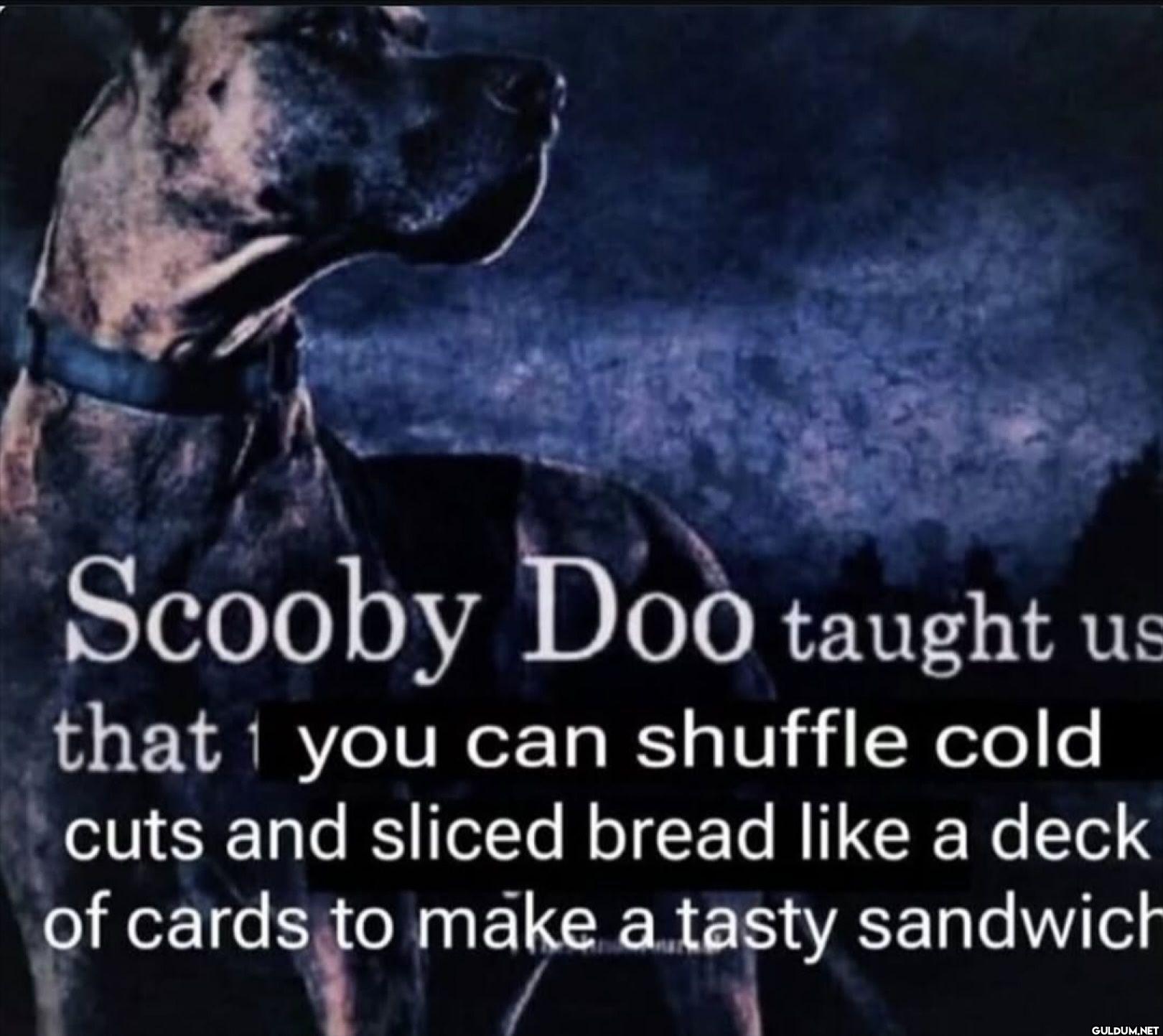 Scooby Doo taught us that...