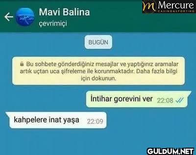 Mavi Balina çevrimiçi m...