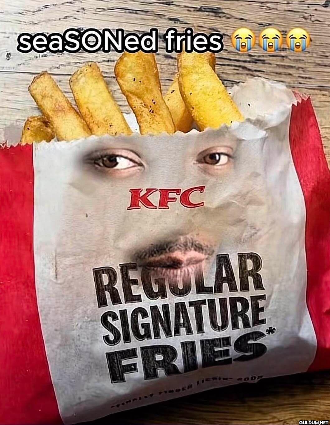 seaSONed fries KFC REGULAR...