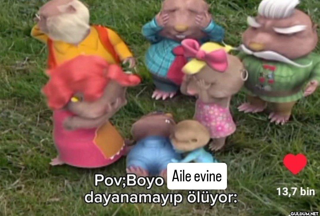 Pov;Boyo Aile evine...