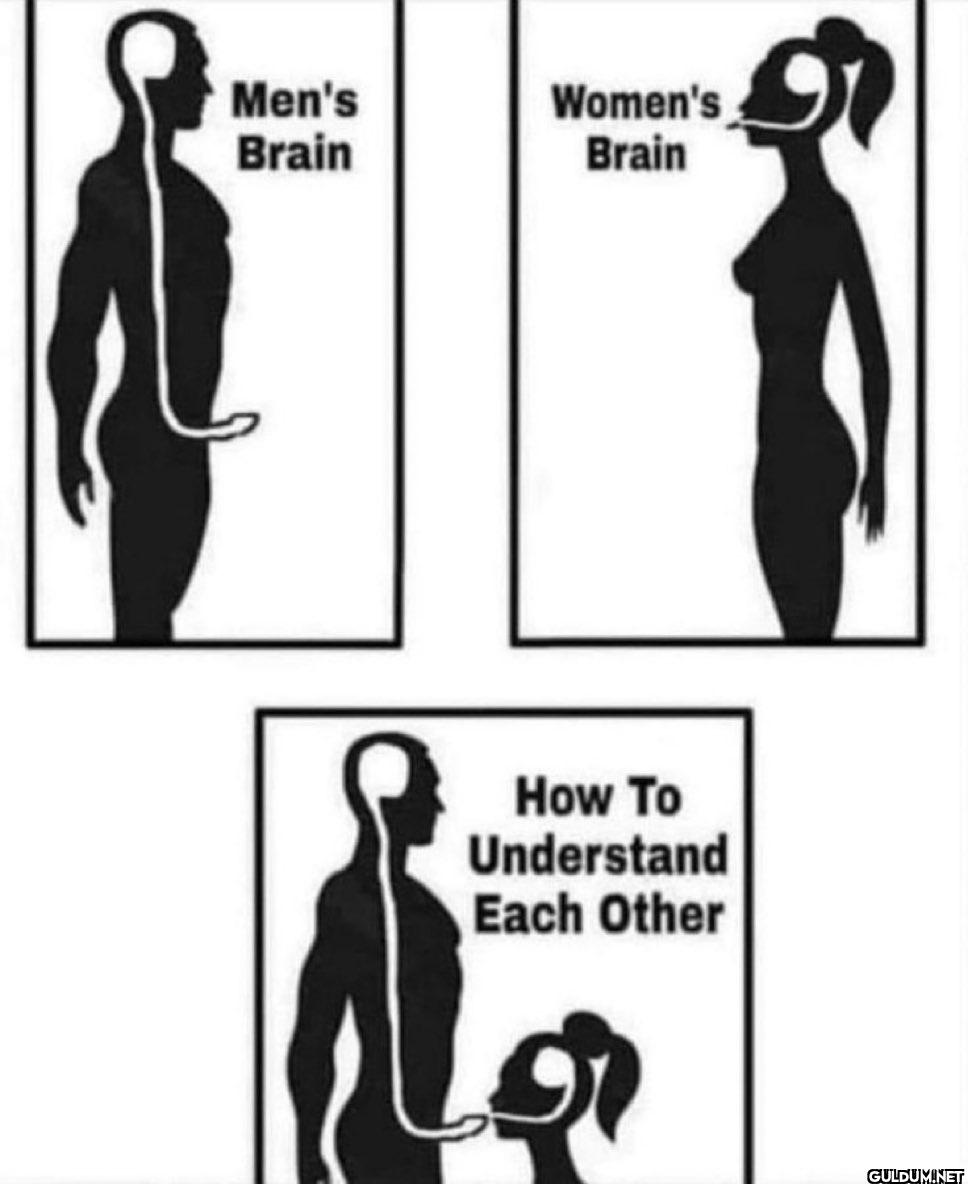 Men's Brain Women's Brain...