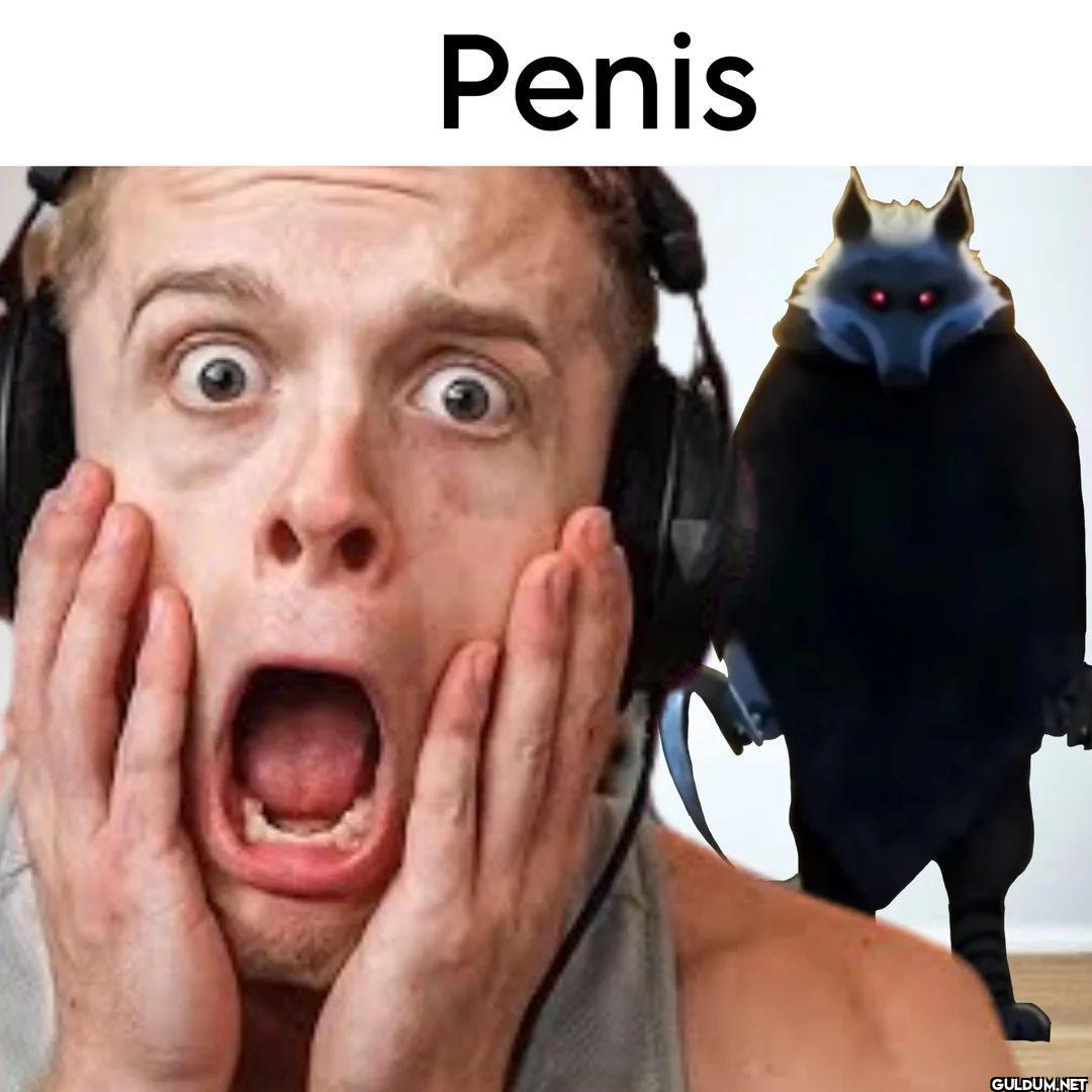 Penis