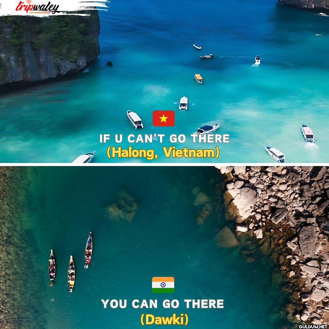 = tripwaley IF U CAN'T GO...